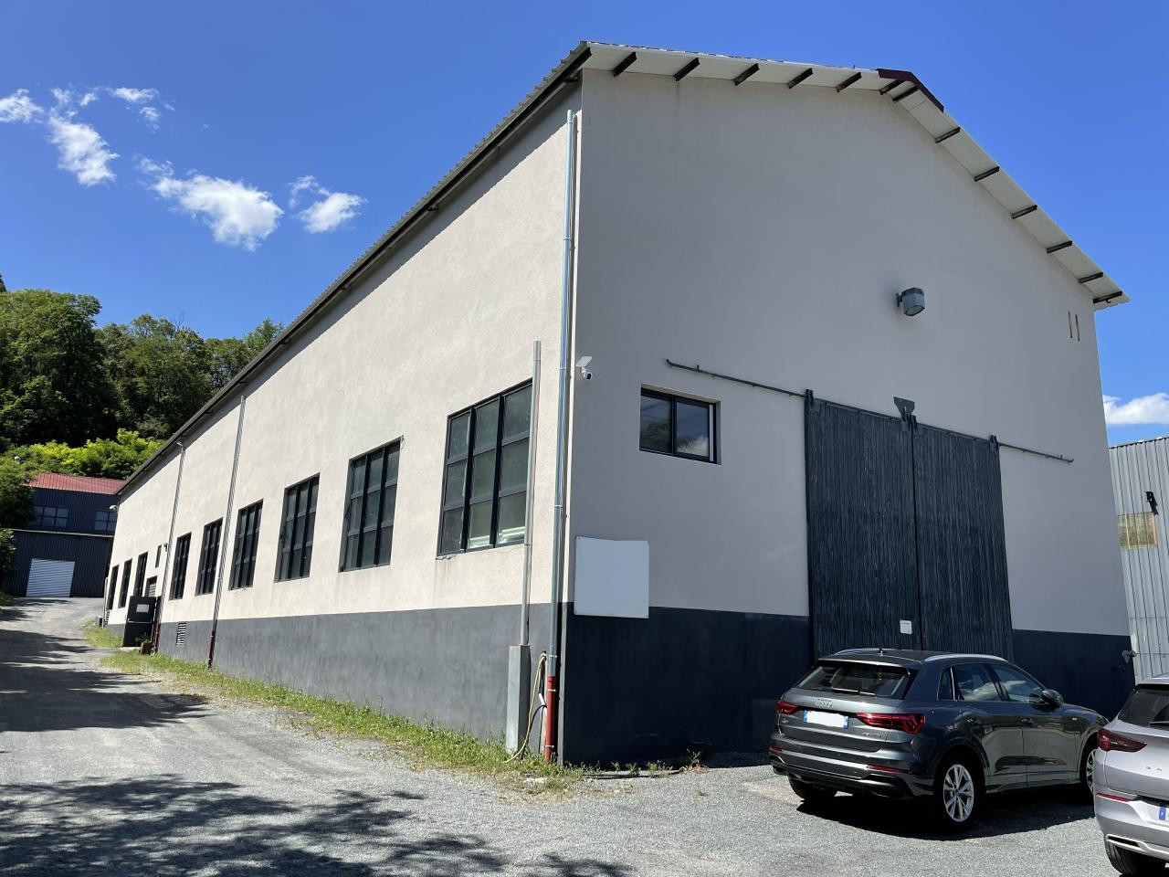 Local d'activité Tullins 4218m² Vente local d'activité Tullins Isère OVACT2532866 4